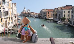 Monkey looking at the grand canal in Venice