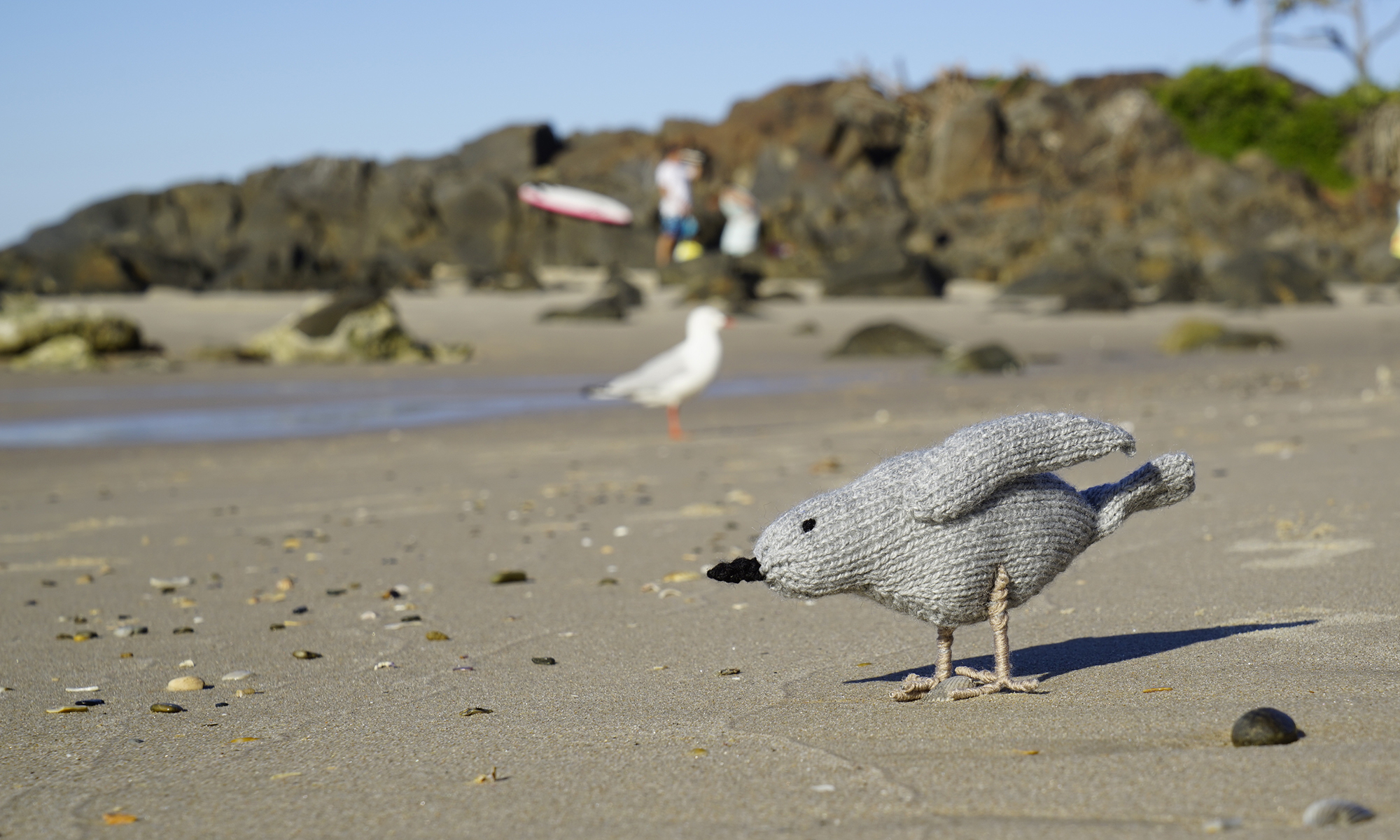 Sam the knitted seagull on the beach